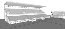 Load image into Gallery viewer, Estadio Pedro Bidegain - CA San Lorenzo de Almagro Argentina 3D model