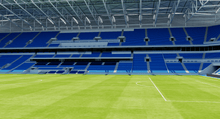 Load image into Gallery viewer, Everton FC Stadium 3D Model Liverpool Replica