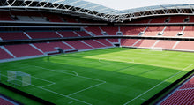 Load image into Gallery viewer, Allianz Riviera - Stade de Nice 3D model