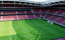 Load image into Gallery viewer, Allianz Riviera - Stade de Nice 3D model
