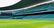 Load image into Gallery viewer, Allianz Stadium - Sydney Football Stadium 3D model