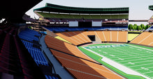 Load image into Gallery viewer, Aloha Stadium - Hawaii 3D model