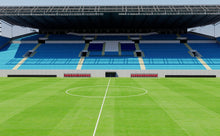 Load image into Gallery viewer, Arena Khimki - Moscow 3D model