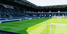 Load image into Gallery viewer, Borussia-Park - Monchengladbach 3D model

