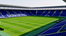 Load image into Gallery viewer, Dnipro-Arena - Ukraine 3D model