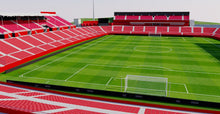 Load image into Gallery viewer, Estadi de Montilivi - Girona 3D model