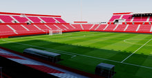 Load image into Gallery viewer, Estadi de Montilivi - Girona 3D model