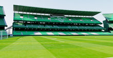 Load image into Gallery viewer, Estadio Benito Villamarín - Real Betis Sevilla 3D model