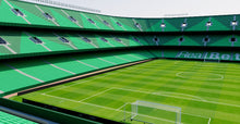Load image into Gallery viewer, Estadio Benito Villamarín - Real Betis Sevilla 3D model