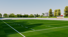Load image into Gallery viewer, Estadio Nacional Complutense - Madrid 3D model