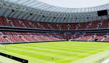 Load image into Gallery viewer, Luzhniki Stadium - Moscow Russia 3D model