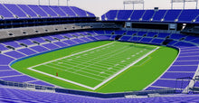 Load image into Gallery viewer, M&T Bank Stadium - Baltimore 3D model
