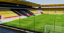 Load image into Gallery viewer, Tivoli Stadium - Aachen 3D model
