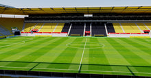 Load image into Gallery viewer, Tivoli Stadium - Aachen 3D model