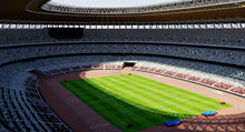 Load image into Gallery viewer, New National Stadium Tokyo 3D Model - 2020 Olympics