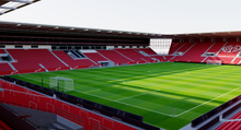 Load image into Gallery viewer, Coface Arena Mainz 3D Model – Mainz 05 Stadium Replica