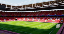 Load image into Gallery viewer, Otkrytiye Arena - Spartak Moscow 3D model