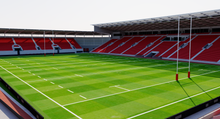 Load image into Gallery viewer, Parc y Scarlets Stadium - Wales 3D model