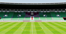 Load image into Gallery viewer, Prince Moulay Abdellah Stadium - Morocco 3D model