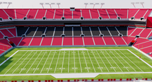 Load image into Gallery viewer, Raymond James Stadium - Tampa, Florida USA  3D model
