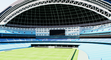 Load image into Gallery viewer, Rogers Centre - Toronto Canada 3D model
