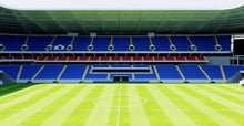 Load image into Gallery viewer, Rostov Arena - Russia 3D model