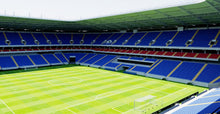 Load image into Gallery viewer, Rostov Arena - Russia 3D model
