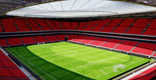 Load image into Gallery viewer, San Mamés Stadium - Bilbao 3D model