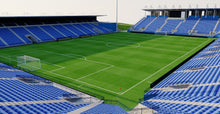 Load image into Gallery viewer, Saputo Stadium - Montreal Canada 3D model