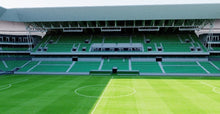 Load image into Gallery viewer, Stade Geoffroy-Guichard - Saint Etienne, France 3D model