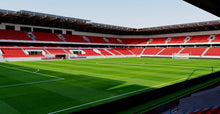 Load image into Gallery viewer, Stadion Antona Malatinskeho - Trnava, Slovakia 3D model