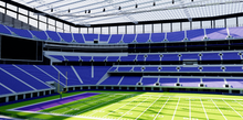 Load image into Gallery viewer, US Bank Stadium 3D Model Minnesota Vikings NFL Replica
