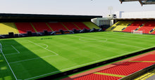 Load image into Gallery viewer, Vicarage Road Stadium - Watford 3D model