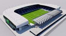Load image into Gallery viewer, Windsor Park - Belfast 3D model