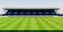 Load image into Gallery viewer, Windsor Park - Belfast 3D model