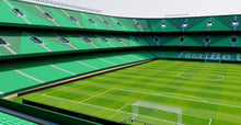 Load image into Gallery viewer, Estadio Benito Villamarín - Real Betis Sevilla 3D model
